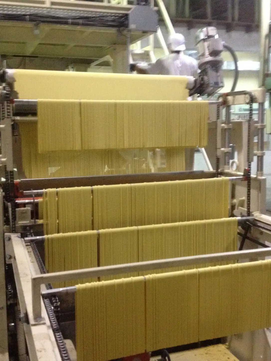 Linha industrial para produção de massa longa